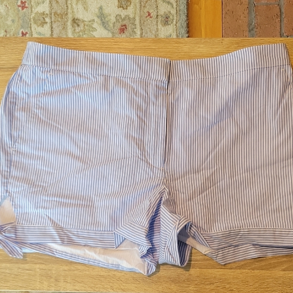 LOFT Striped Blue and White Shorts